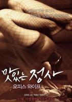 《办公室的秘密》电视剧韩剧在线观